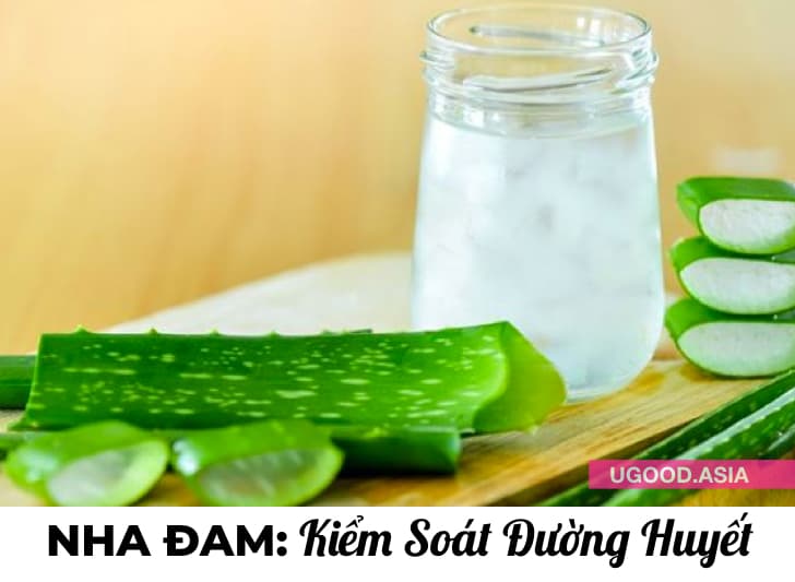 10 Công Dụng Của NHA ĐAM Và Cách Làm Nước Nha Đam Thần Dược Lành Mạnh