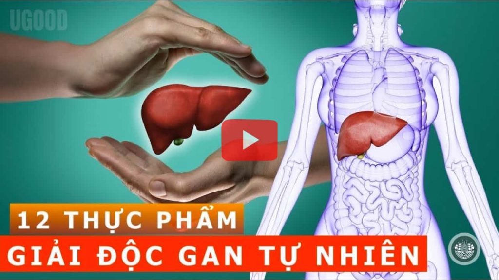 12 THỰC PHẨM TỐT CHO GAN và giải độc gan tự nhiên