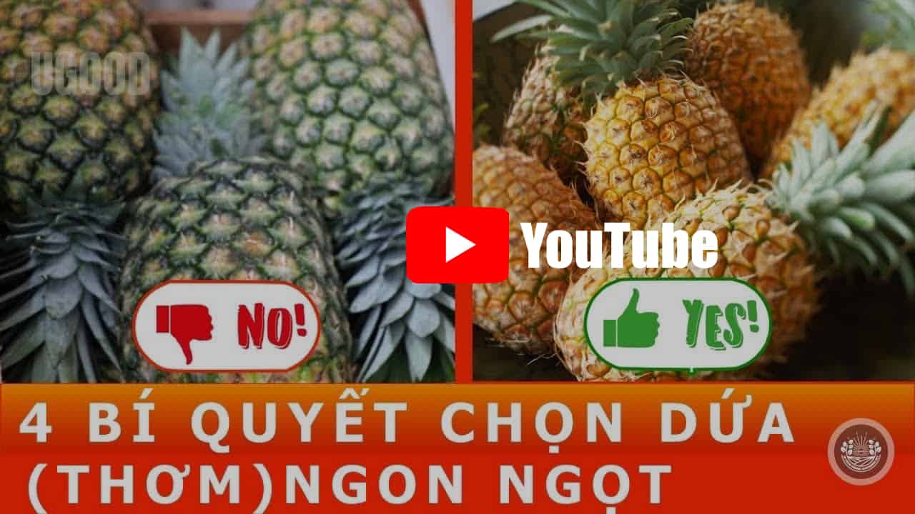 Cách chọn dứa ngon ngọt