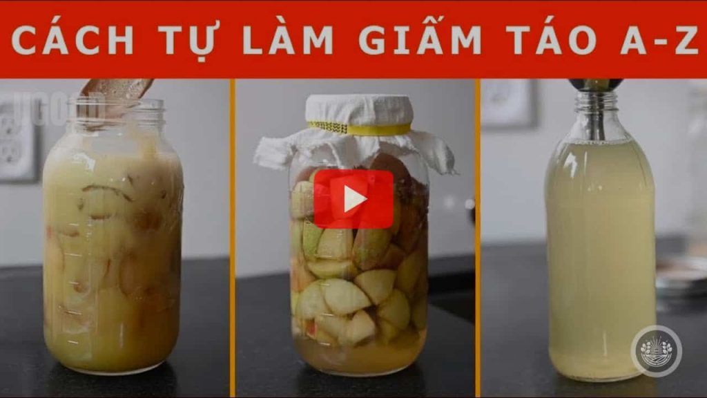 CÁCH LÀM GIẤM TÁO TẠI NHÀ TỪ A-Z- Làm Từ Táo Tươi _ Từ Nước Ép Táo _ Từ Giấm Mẹ