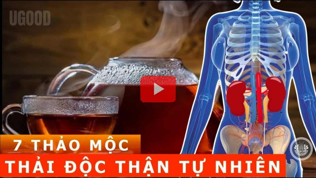 CÁCH THẢI ĐỘC THẬN- 7 thảo mộc giải độc thận và gan tự nhiên và lành mạnh