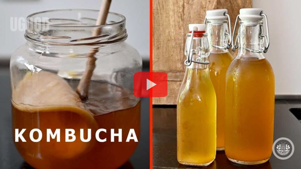 Cách Lên Men KOMBUCHA Bổ Dưỡng Từ A Z _ Tự Làm Con men Scoby Và Trà Kombucha