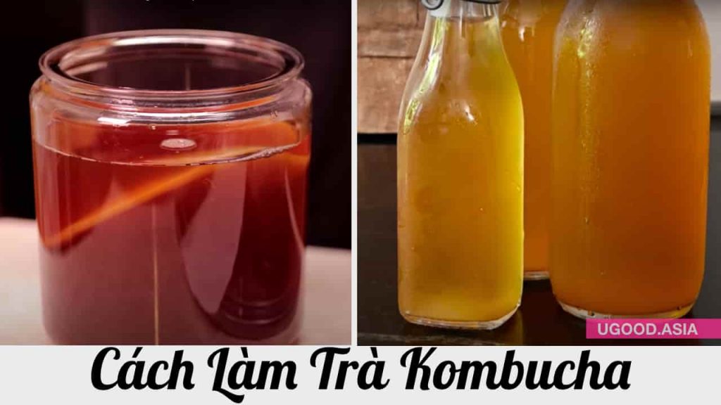 Cách lên men KOMBUCHA bổ dưỡng từ A-Z Tự làm con men scoby và trà Kombucha