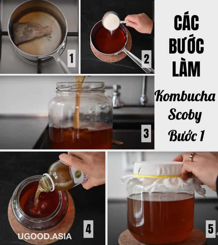 Cách lên men KOMBUCHA bổ dưỡng từ A-Z Tự làm con men scoby và trà Kombucha