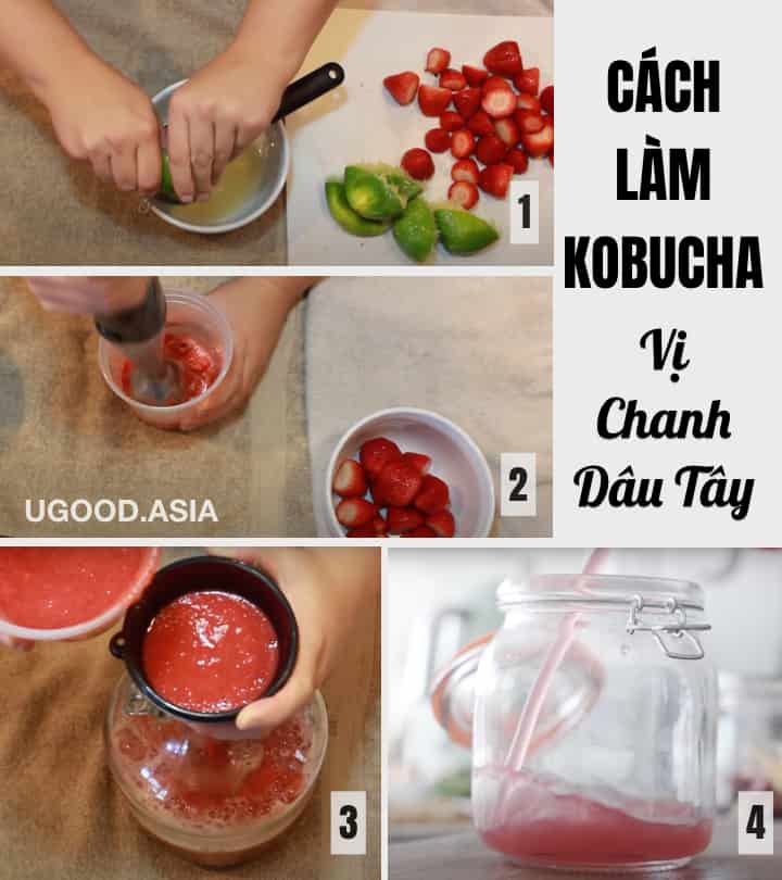 Cách lên men KOMBUCHA bổ dưỡng từ A-Z Tự làm con men scoby và trà Kombucha