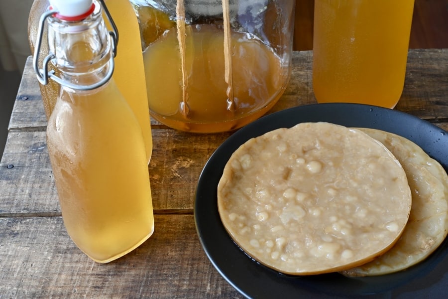 Cách-lên-men-KOMBUCHA-bổ-dưỡng-từ-A-ZTự-làm-con-men-scoby-và-trà-Kombucha