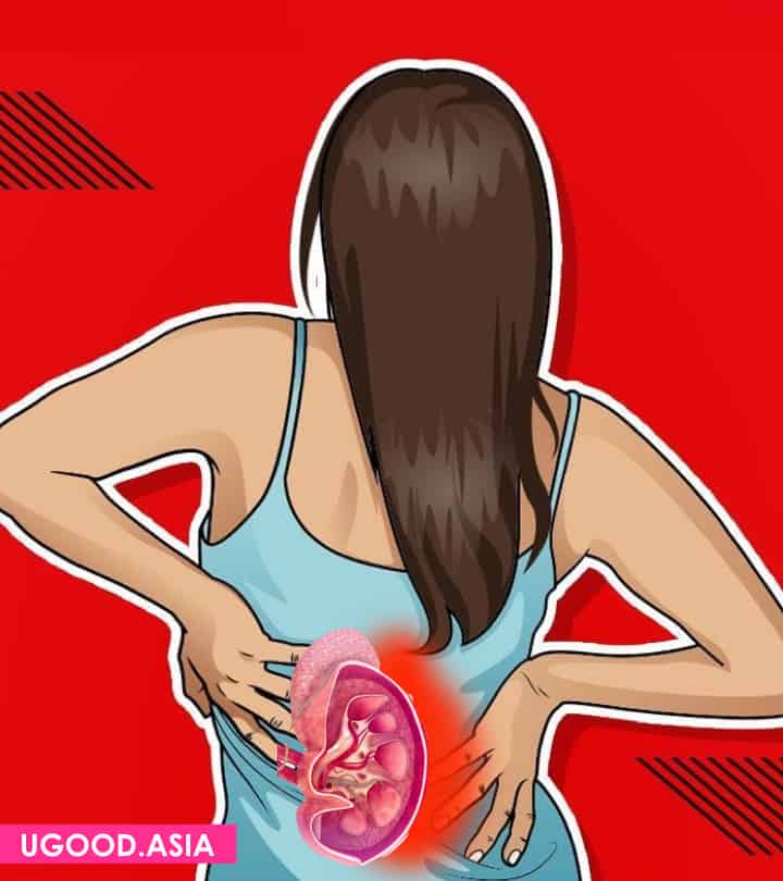 12 Early Signs Of Kidney Disease That Body Will Give You Should Not Ignore