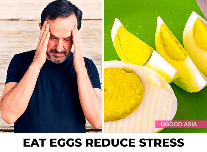 6 True Things Happen To Your Body When You Eat Eggs On A Regular Basis