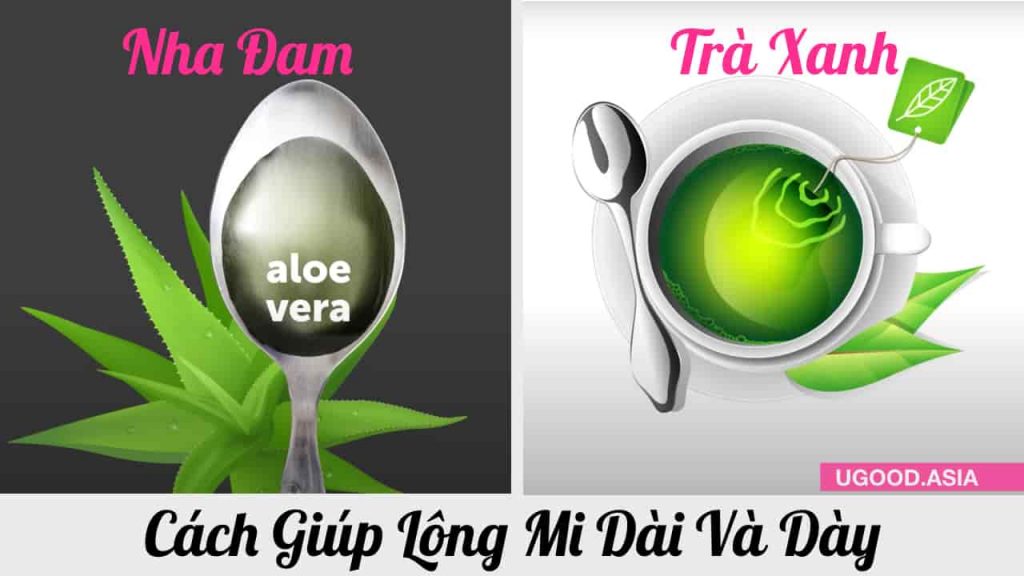 8 Cách Đơn Giản Giúp Lông Mi Dài Và Dày Nhanh Tại Nhà Với Các Nguyên Liệu Tự Nhiên