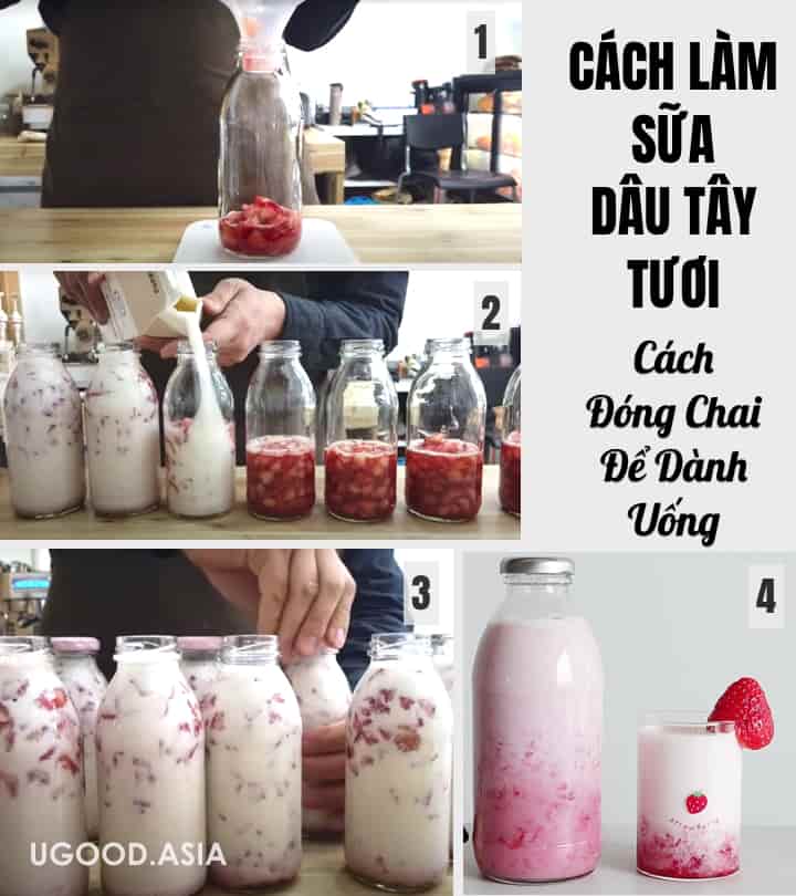 Cách Làm Sữa Dâu Tây Tươi- Thức Uống Mùa Hè Tốt Sức Khoẻ Và Rất Được Yêu Chuộng Ở Hàn Quốc