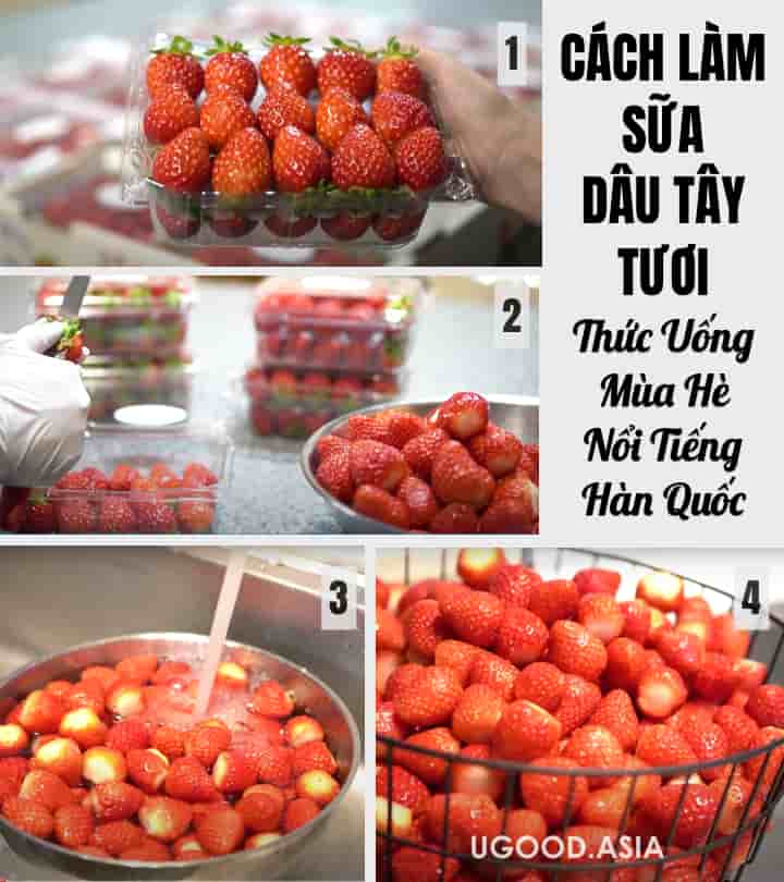 Cách Làm Sữa Dâu Tây Tươi- Thức Uống Mùa Hè Tốt Sức Khoẻ Và Rất Được Yêu Chuộng Ở Hàn Quốc