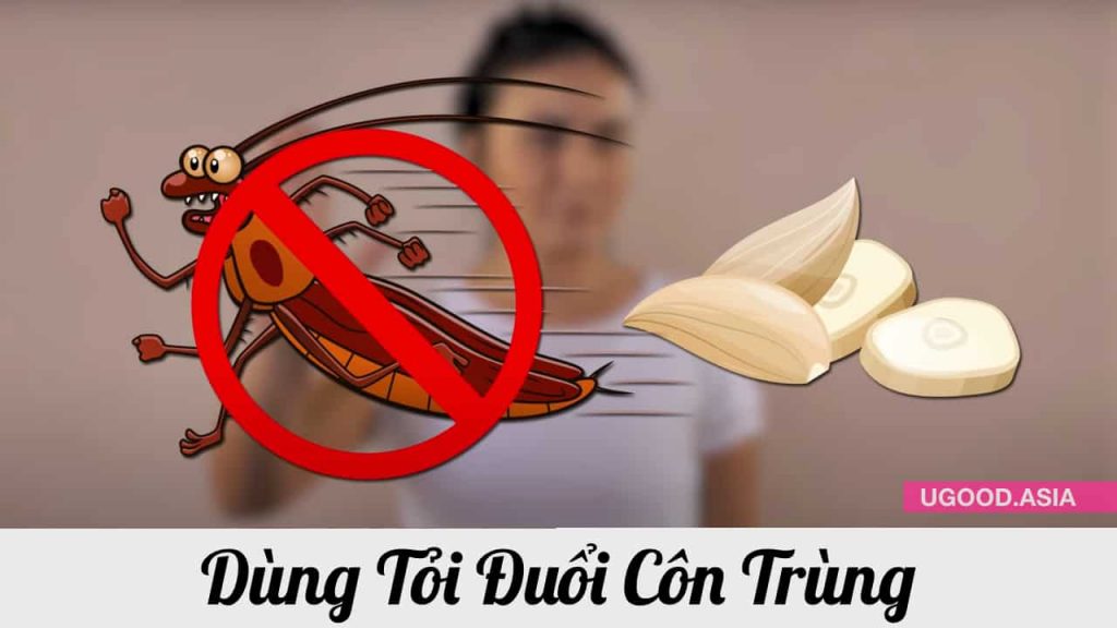 Dùng tỏi xua đuổi côn trùng