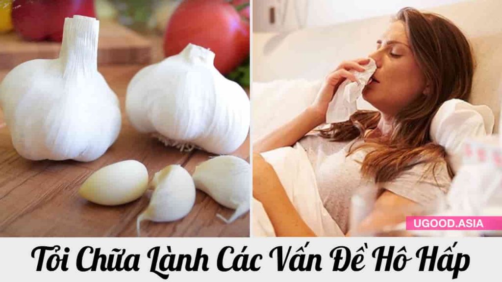 Tỏi chữa lành các vấn đề hô hấp