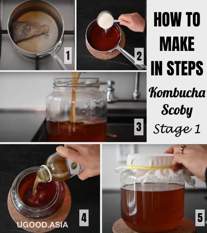 Homemade Kombucha From A-Z-Grow Scoby, Kombucha Tea and Make Strawberry Lime Kombucha