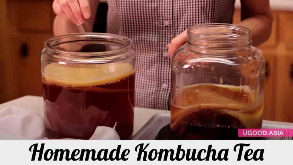 Homemade Kombucha From A-Z-Grow Scoby, Kombucha Tea and Make Strawberry Lime Kombucha