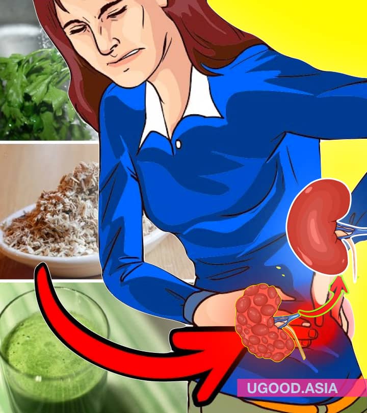 Kidney Cleansing-7 Herbs To Detox Your Kidneys And Liver Naturally At Home