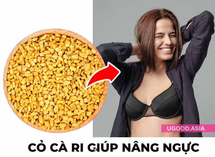 10 Cách Giúp Ngực Săn Chắc Và Nâng Ngực Trở Lại Bằng Phương Pháp Tự Nhiên Ngực Sẽ Hết Sệ