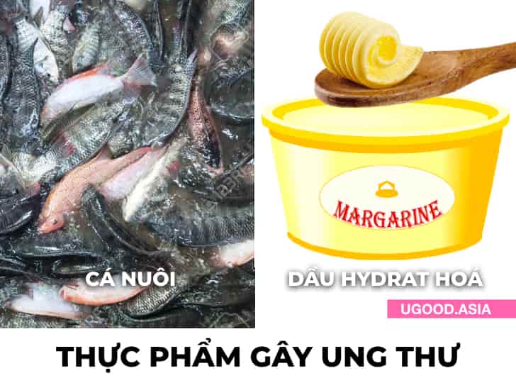 12 Thực Phẩm Gây Ung Thư Bạn Nên Tránh Vì Nguy Cơ Bị Mắc Bệnh Ung Thư Cao