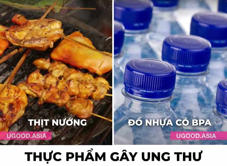 12 Thực Phẩm Gây Ung Thư Bạn Nên Tránh Vì Nguy Cơ Bị Mắc Bệnh Ung Thư Cao