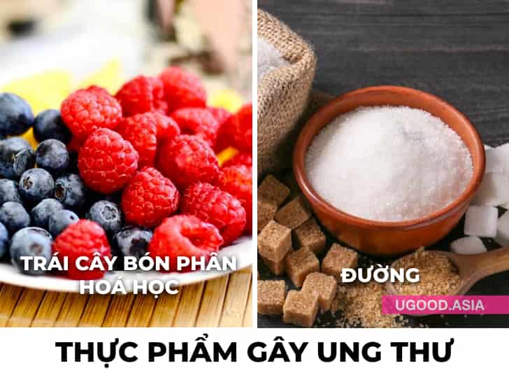 12 Thực Phẩm Gây Ung Thư Bạn Nên Tránh Vì Nguy Cơ Bị Mắc Bệnh Ung Thư Cao