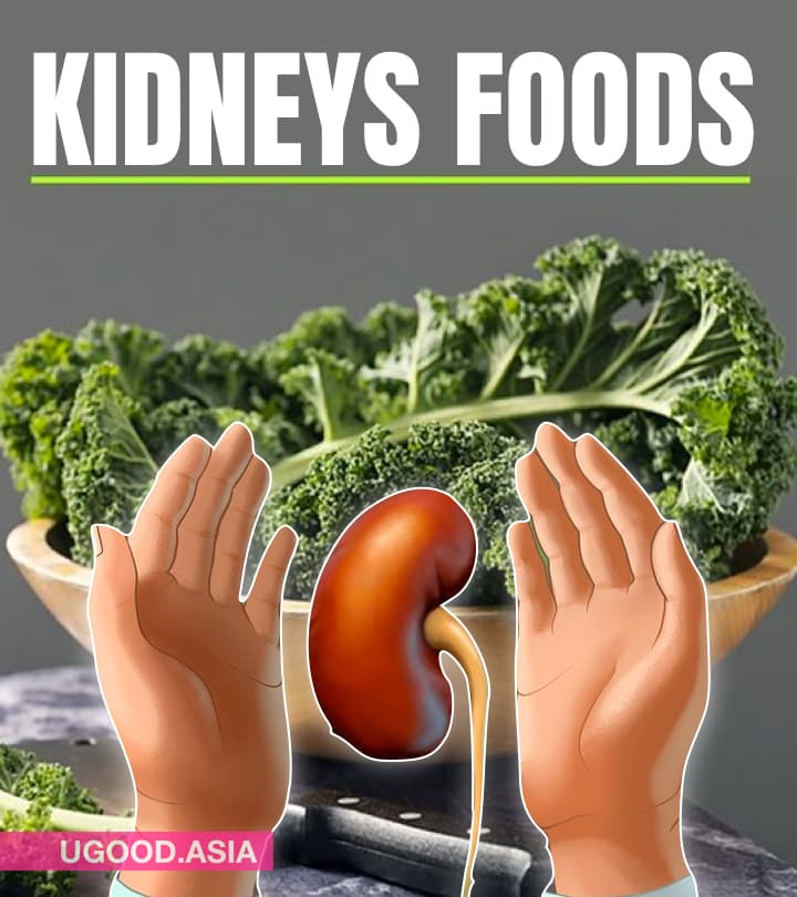 14 Foods Good For Kidneys And Make Your Kidneys Healthy