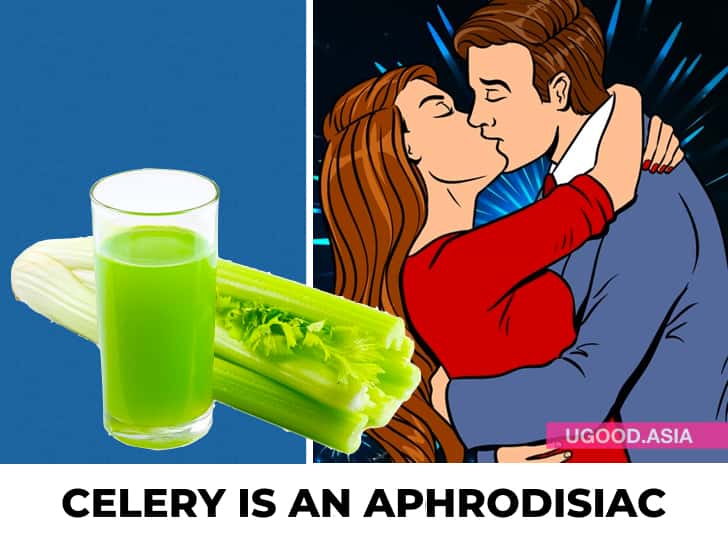 14 Health Benefits Of Eating Celery Every Day In A Week And Reason Why You Should Add To Your Diet