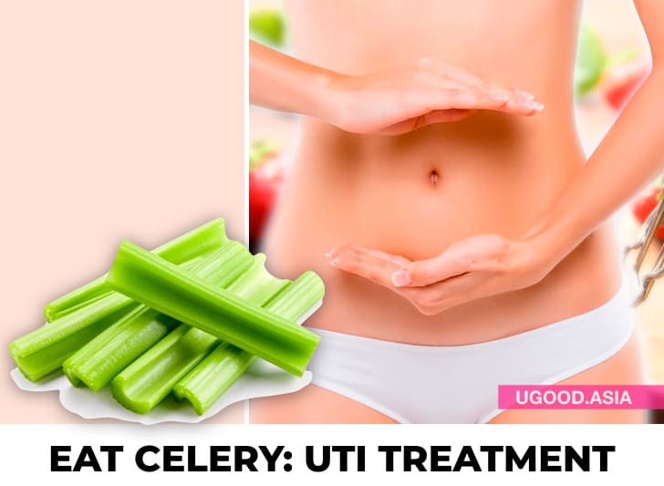 14 Health Benefits Of Eating Celery Every Day In A Week And Reason Why You Should Add To Your Diet