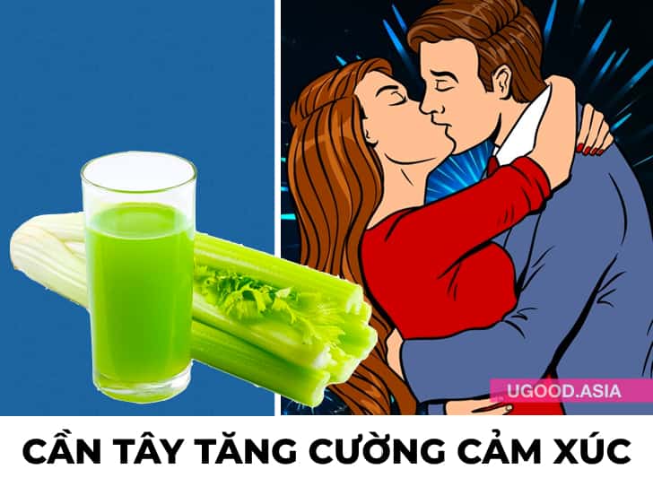 14 Tác Dụng Của Rau Cần Tây Với Sức Khoẻ Nếu Ăn Mỗi Ngày Và Lý Do Bạn Nên Thêm Vào Chế Độ Ăn Của Mình