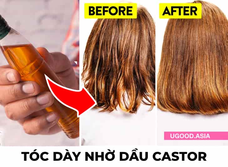 4 Cách TDầu Castor Giúp Tóc Mọc Nhanh Và Dày Hơn