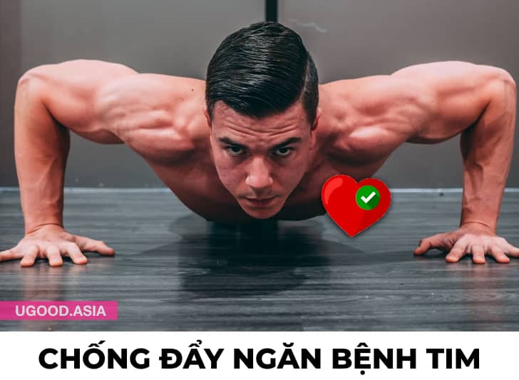 6 Lợi Ích Sức Khoẻ Của Hít Đất Mỗi Ngày Và Chống Đẩy sẽ mang lại Điều Gì cho Cơ Thể