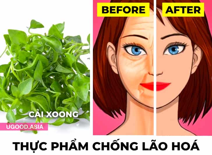 9 Thực Phẩm Chống Lão Hoá Nên Ăn Khi Bạn Trên 40 Tuổi Sẽ Giúp Bạn Trông Trẻ Trung Khoẻ Mạnh