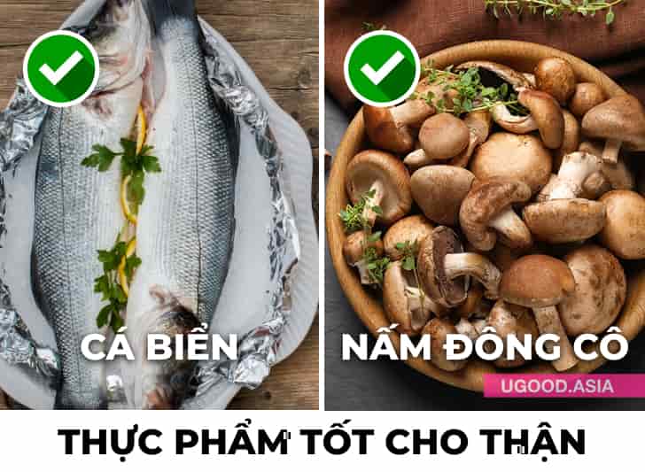 14 Thực Phẩm Tốt Cho Thận Và Giúp Thận Khỏe Mạnh