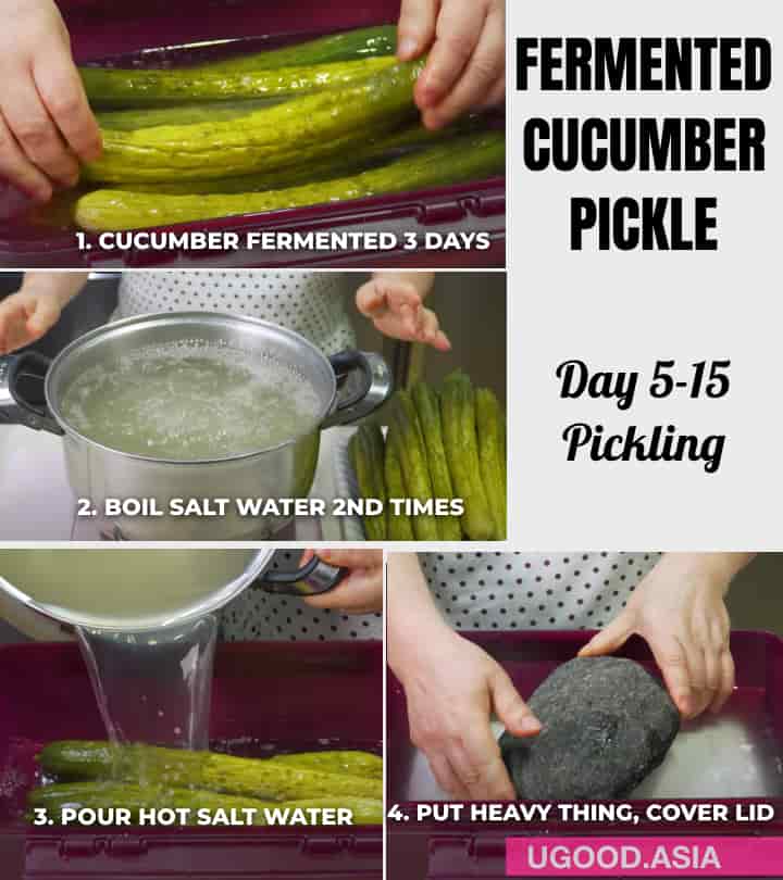 HOW TO MAKE FERMENTED CUCUMBER PICKLE Whole Fruit Shape Delicious Crunchy Beautiful Golden Color Can Keep Long Time